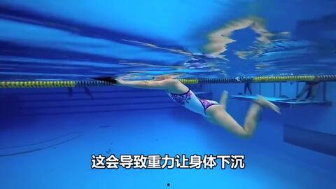 成人蛙泳体验课视频教学,体验课视频教学精华回顾