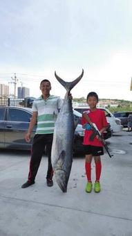 鲅鱼视频成人,成人世界的真实写照