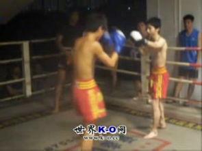 成人力气比拼视频,成人力气比拼巅峰对决