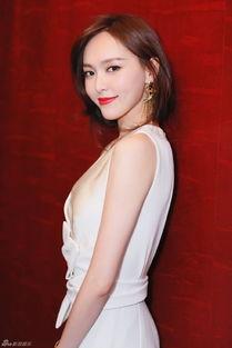 杨阳成人识字视频大全,轻松掌握汉字奥秘