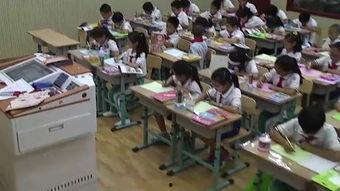 如何上成人体验课视频,视频教程全面解析