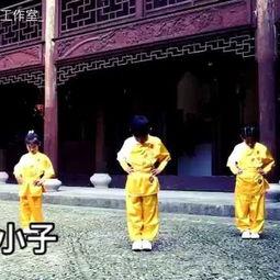 嘻哈小子舞蹈视频成人,从舞蹈视频到璀璨舞台的蜕变之旅