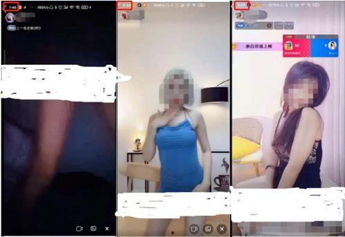 本瓜视频成人福利