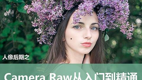 成人拼图入门教程视频,跟随视频教程玩转成人拼图世界