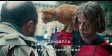 成人吸毒卖唱视频,揭秘成人吸毒卖唱的残酷现实