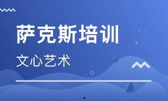 成人学萨克斯教学视频,跟随教学视频轻松入门