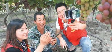 成人版葡萄视频