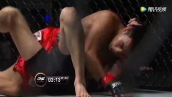 散打比赛视频成人教学,从实战视频看散打技巧与策略教学