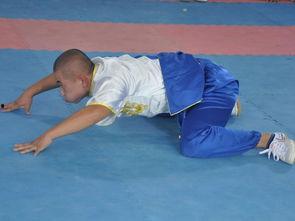 成人女性学武术好吗视频,强身健体，展现自我风采