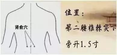 成人补肾气手法视频教程